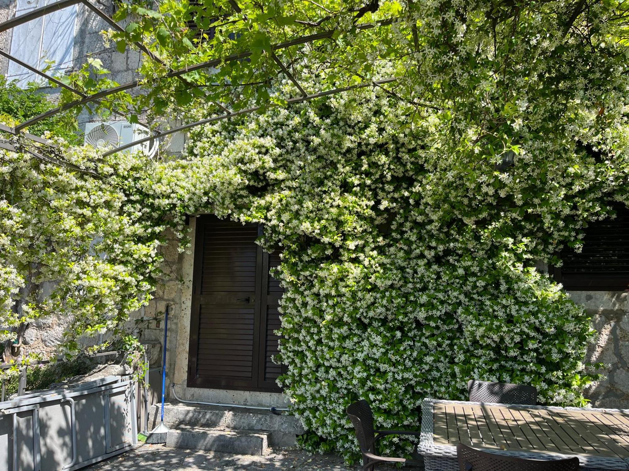 Be Happy In Perast Apartment Exterior photo