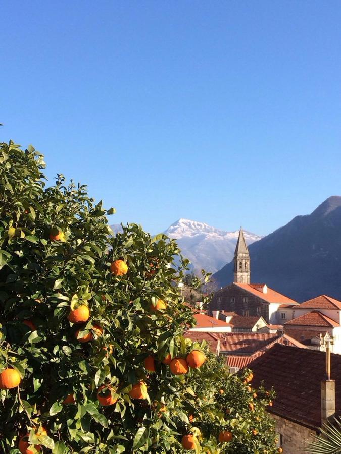 Be Happy In Perast Apartment Exterior photo